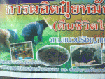 โครงการผลิตปุ๋ยหมักชีวภาพ (คืนชีวิตให้แผ่นดิน) ตามแนวปรัชญาเ
